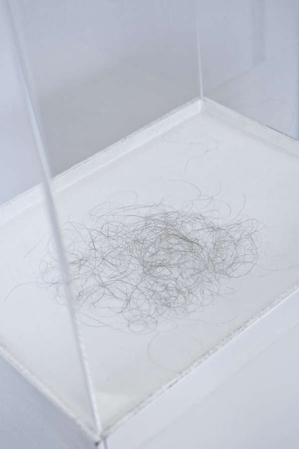 Hair Ball